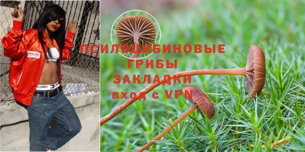 кокаин VHQ Ельня