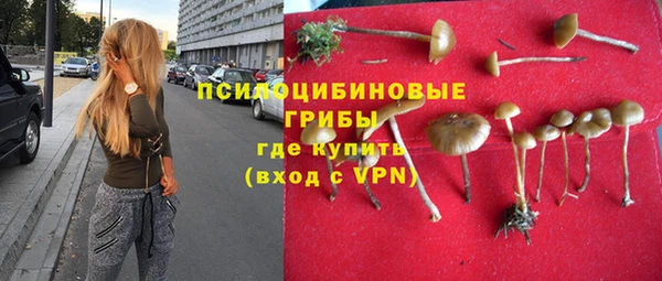 ГАЛЛЮЦИНОГЕННЫЕ ГРИБЫ Елизово