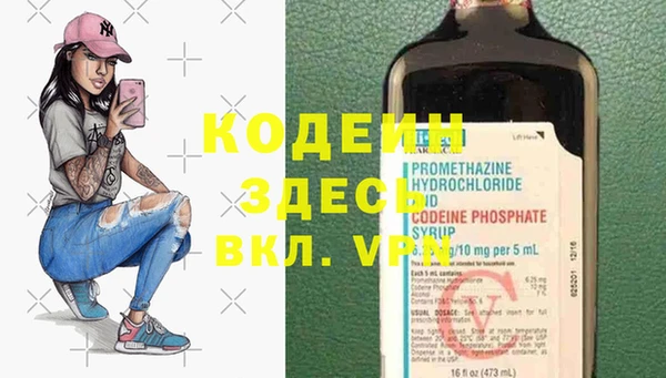 прущие грибы Заводоуковск