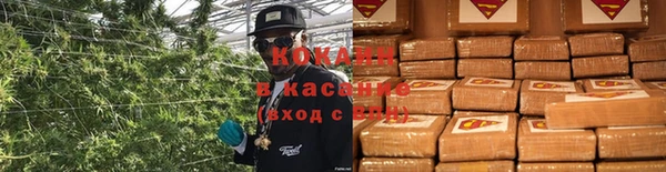 ГАЛЛЮЦИНОГЕННЫЕ ГРИБЫ Елизово
