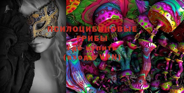 бошки Елабуга